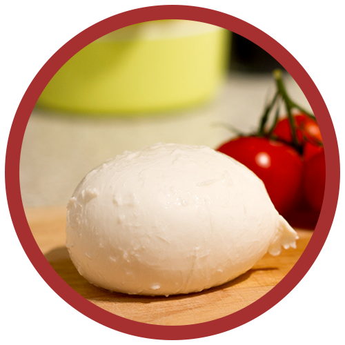 bufala